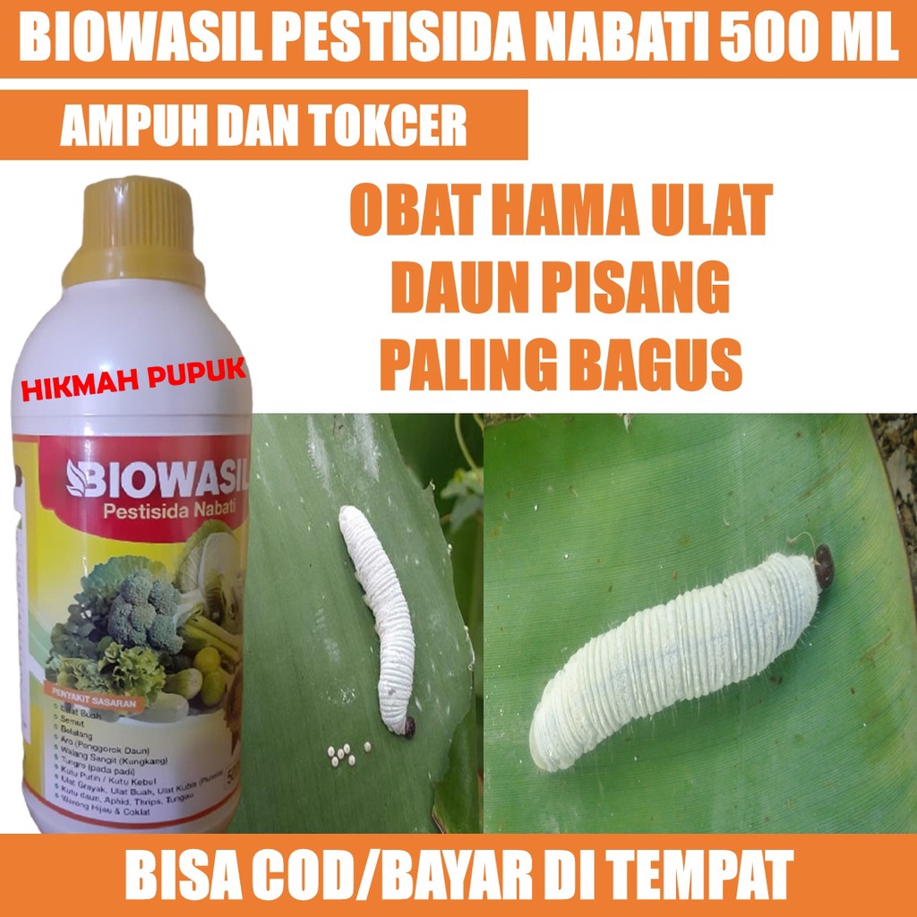 (PALING LARIS) BIOWASIL PESTISIDA HAMA ULAT DAUN PISANG, TERONG, Obat Hama Ulat Daun Pisang Paling B