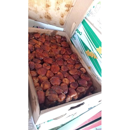 

KURMA