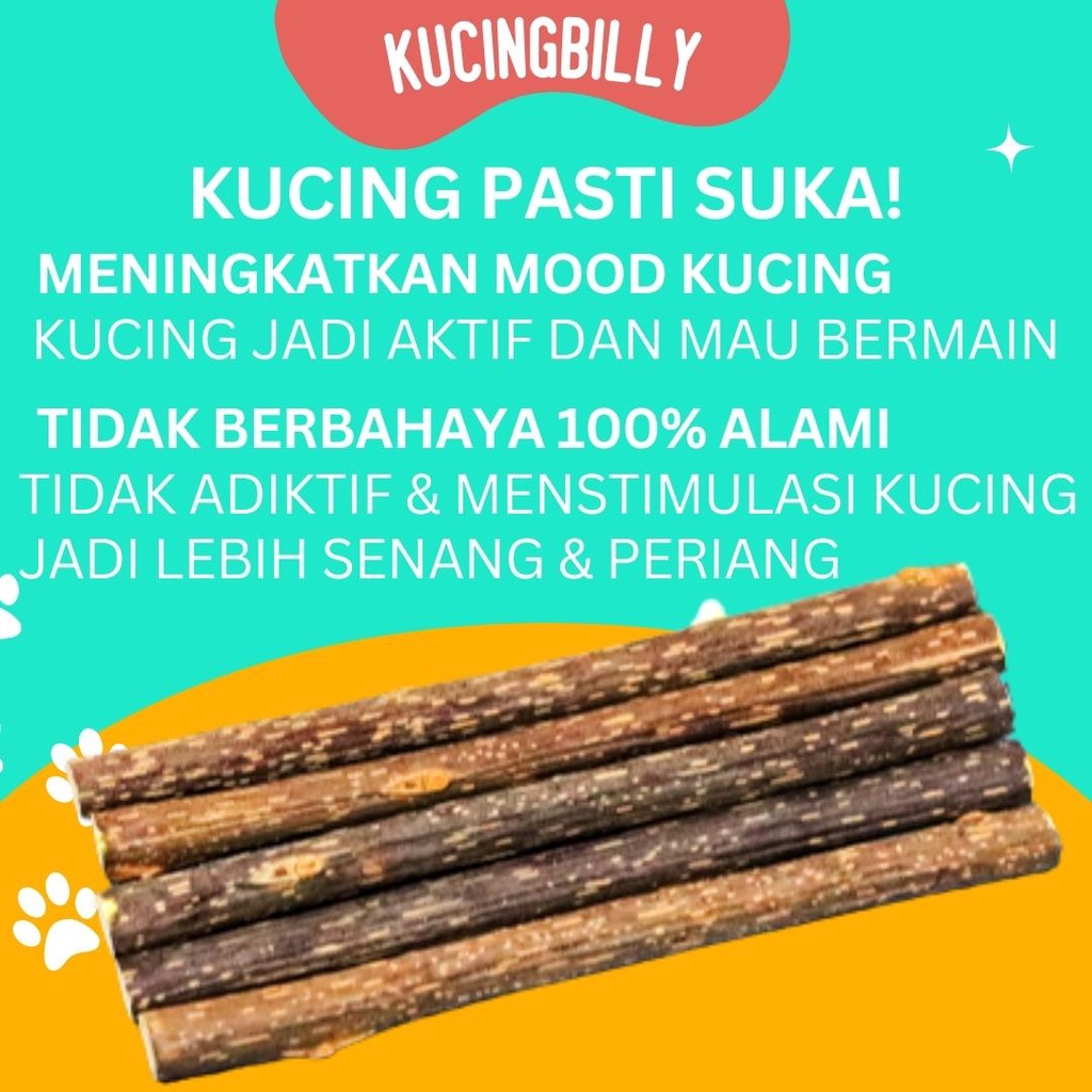 CATNIP STICK KUCING