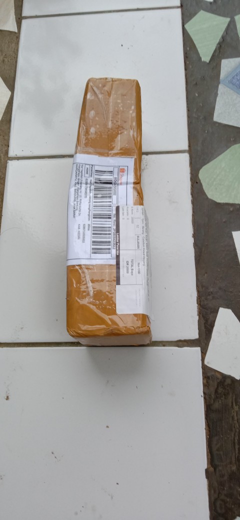 Caladium Keladi Wayang