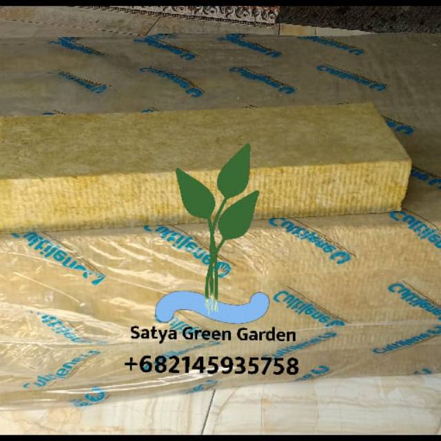 

Rockwall import buat hidroponik