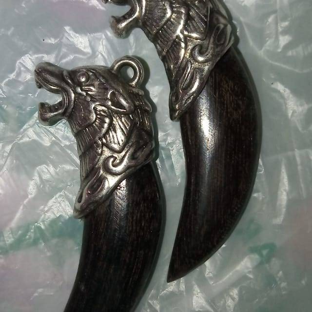 

kelor