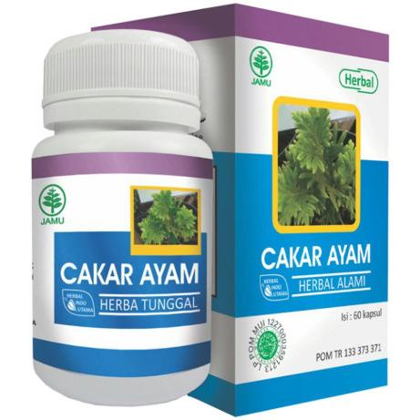 

TERLARIS Kapsul Cakar Ayam Original Obat Herbal Multi Khasiat /OBAT HERBAL ASAM URAT/OBAT HERBAL PELANGSING/OBAT HERBAL KOLESTEROL/OBAT HERBAL DIABETES