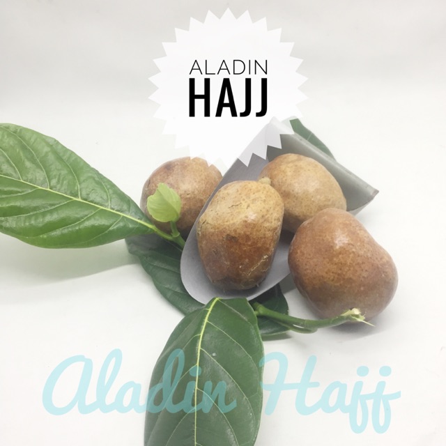 

BUAH ZURIAT/ ZURIAT SINGLE 1 Pcs ASLI MADINAH PROMIL