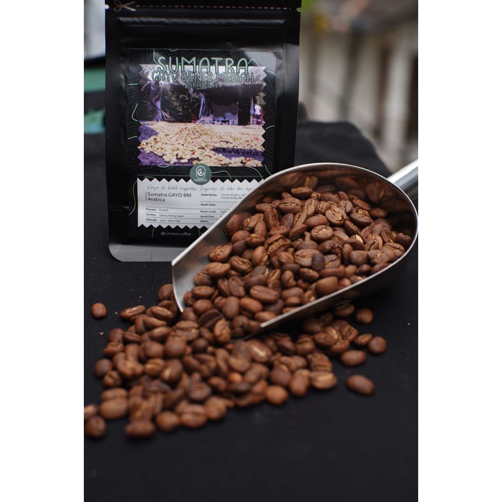 

ARABICA GAYO BENER MERIAH 100 GRAM