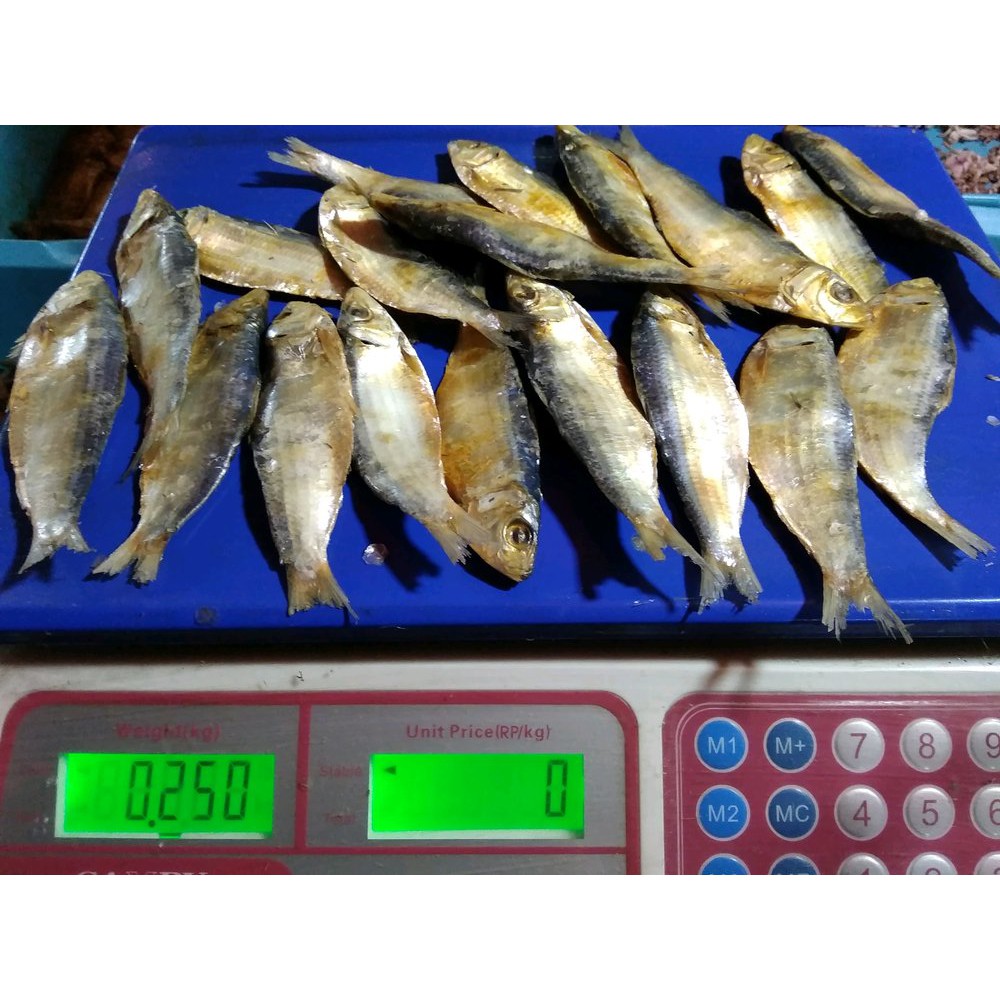 

ikan asin tembang