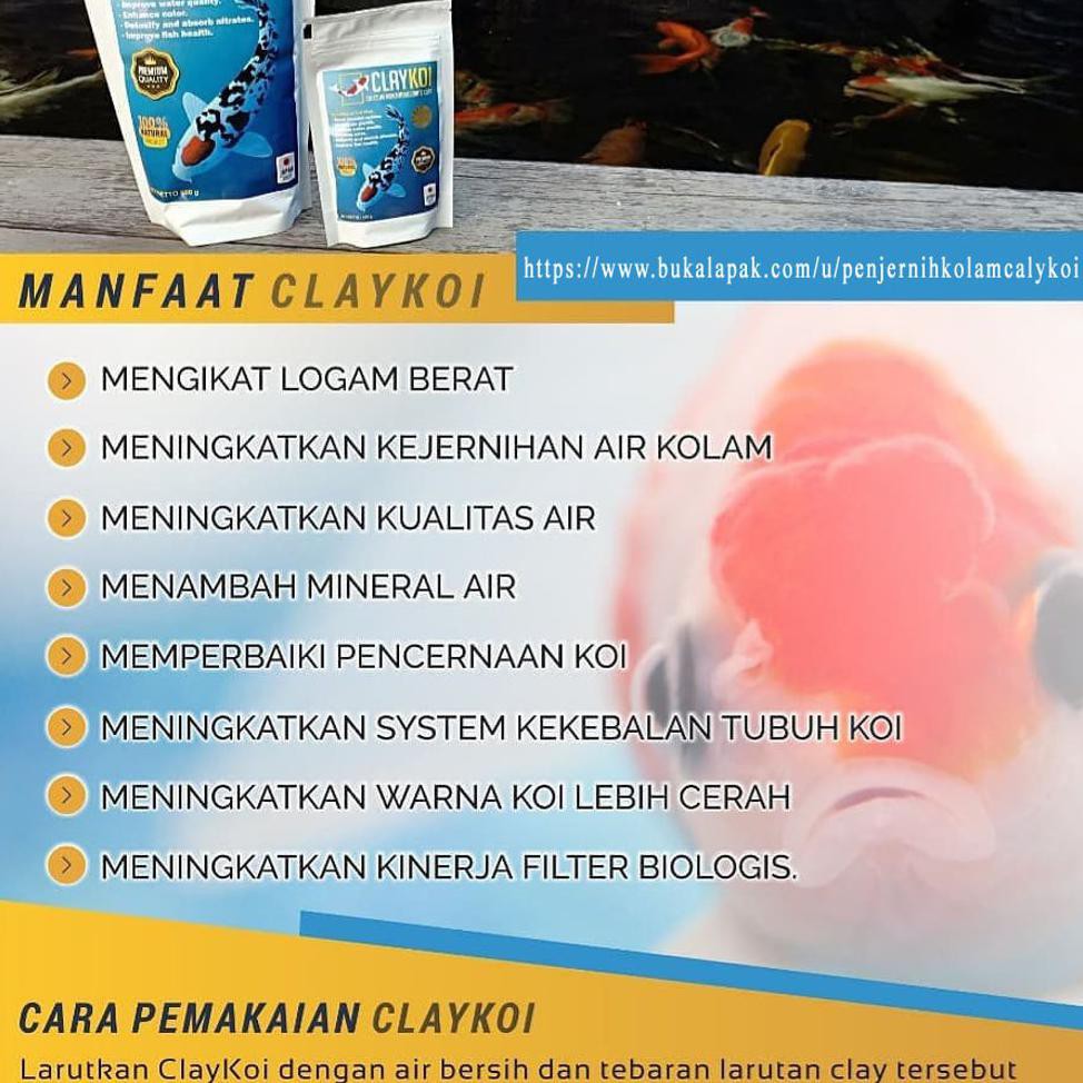 Claykoi Penjernih Kolam Koi Mineral Buat Ikan Koi Solusi Kolam Berkabut Warna Koi Lebih Cerah Shopee Indonesia