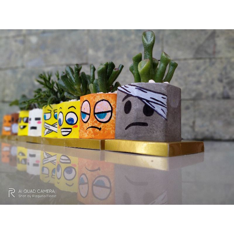 paket Pot & kaktus Mini suki, pot sukulen mini, pot tanaman lucu untuk dekorasi rumah