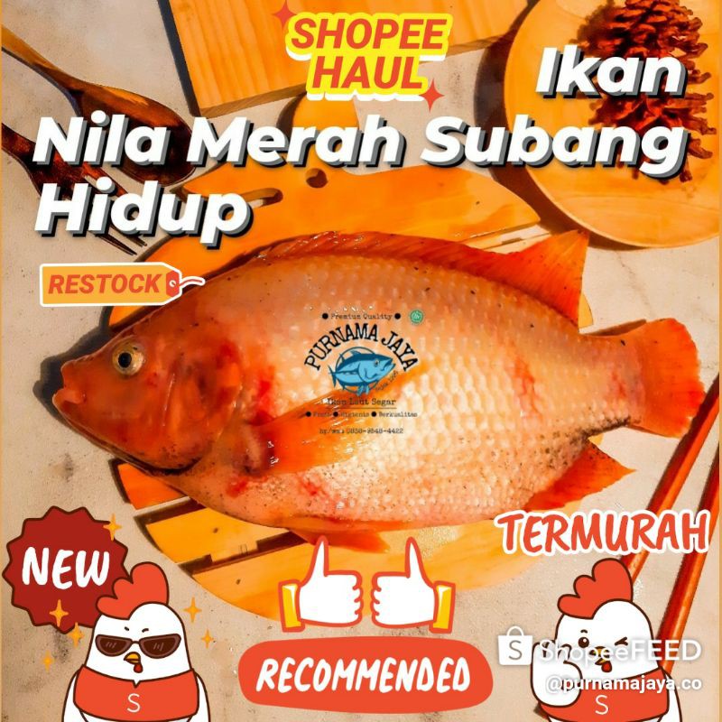 

Ikan Nila Merah Subang (Hidup) 1kg