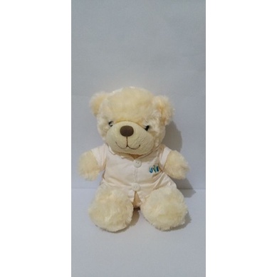 Boneka Teddy Kostum