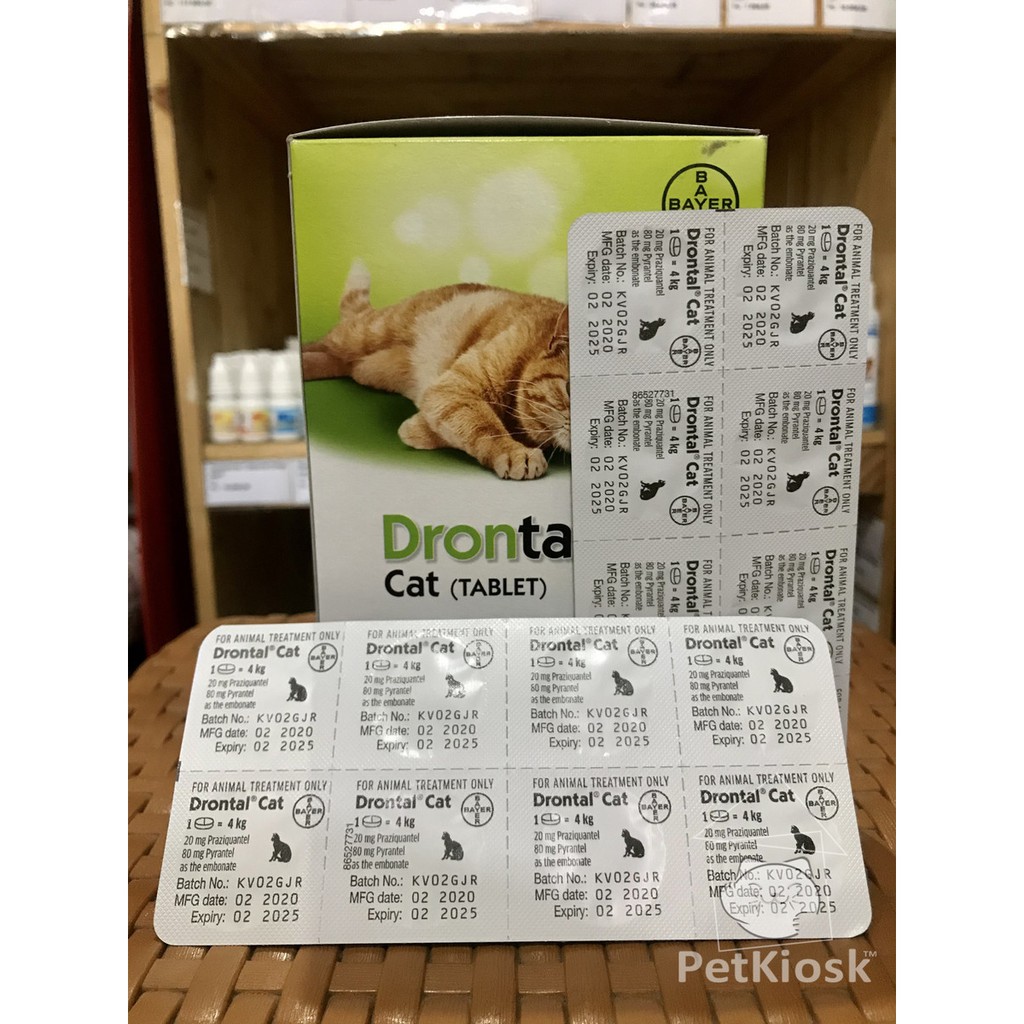 Jual Drontal Cat Tablet Obat Cacing Kucing / Bayer | Shopee Indonesia