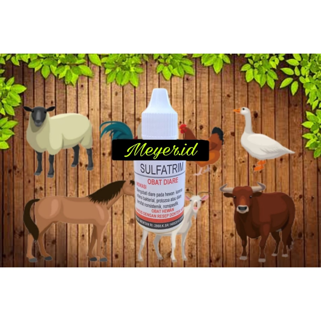 SULFATRIM ORAL/GEL MEYER 25ML - Obat diare/mencret/berak berdarah/berlendir pada Anjing,kucing