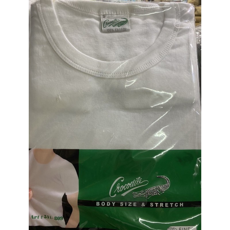 oblong crocodile putih