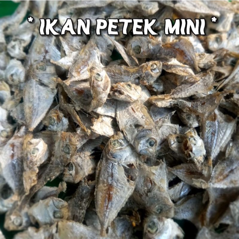 Jual Aneka Ikan Segar Murahh Cumu Cumi Ikan Sepat Ikan Cucut