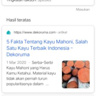  Rak  Bumbu Kayu  Jati  Belanda  Minimalis  50cm Shopee Indonesia