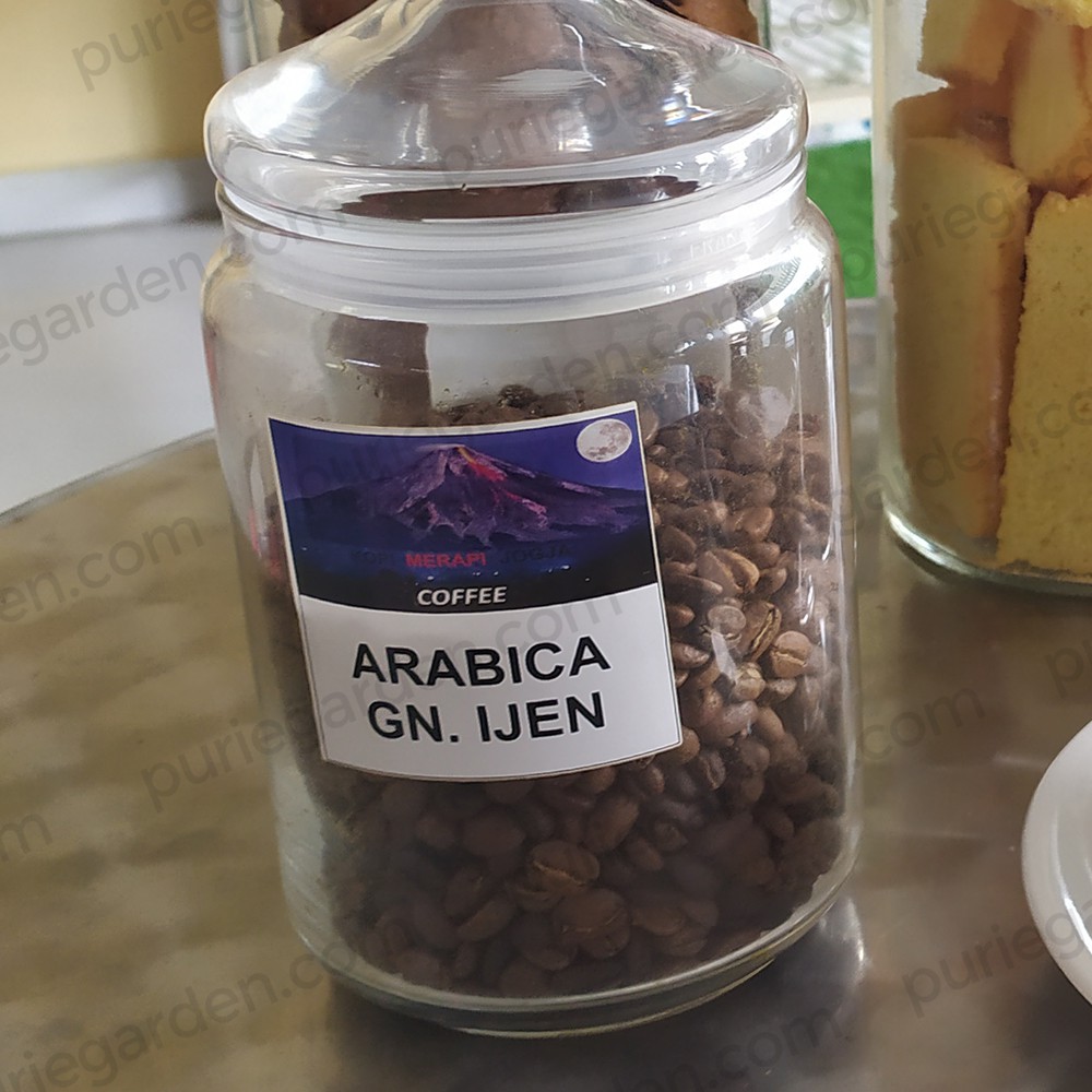 

Kopi Arabica Gunung Ijen/Rolas 100 gram Roastbean / Bubuk