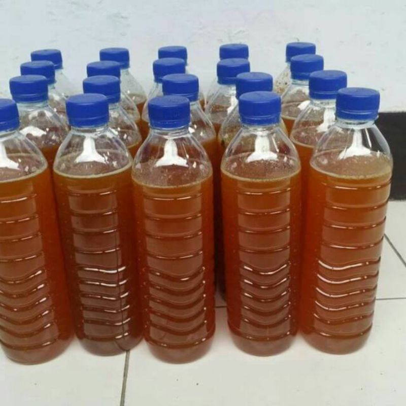 

madu hutan tawon gung