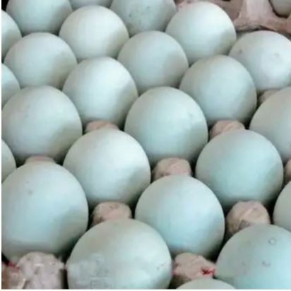 

Telur Bebek Matang Pasar Segar Depok