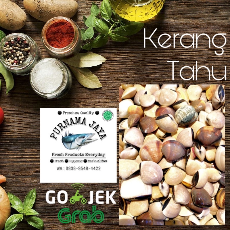 

kerang tahu segar 1kg bandung purnamajaya