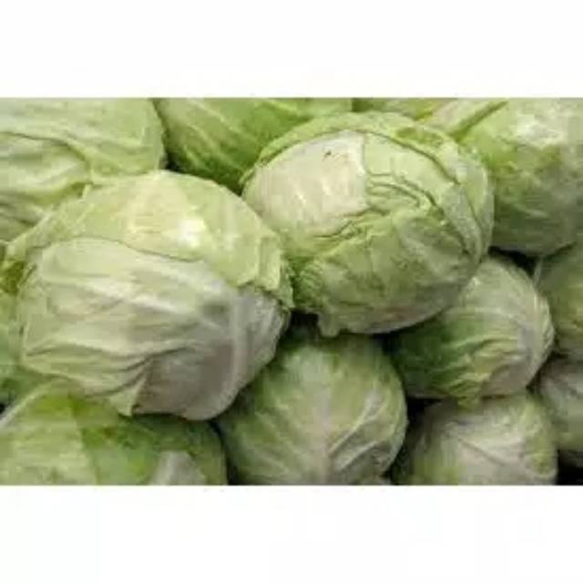 

- CSM - Sayur Kol 500 Gr