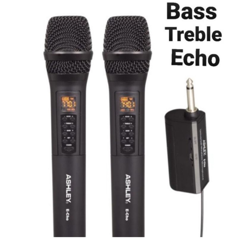 mic wierllse Ashley echo origina