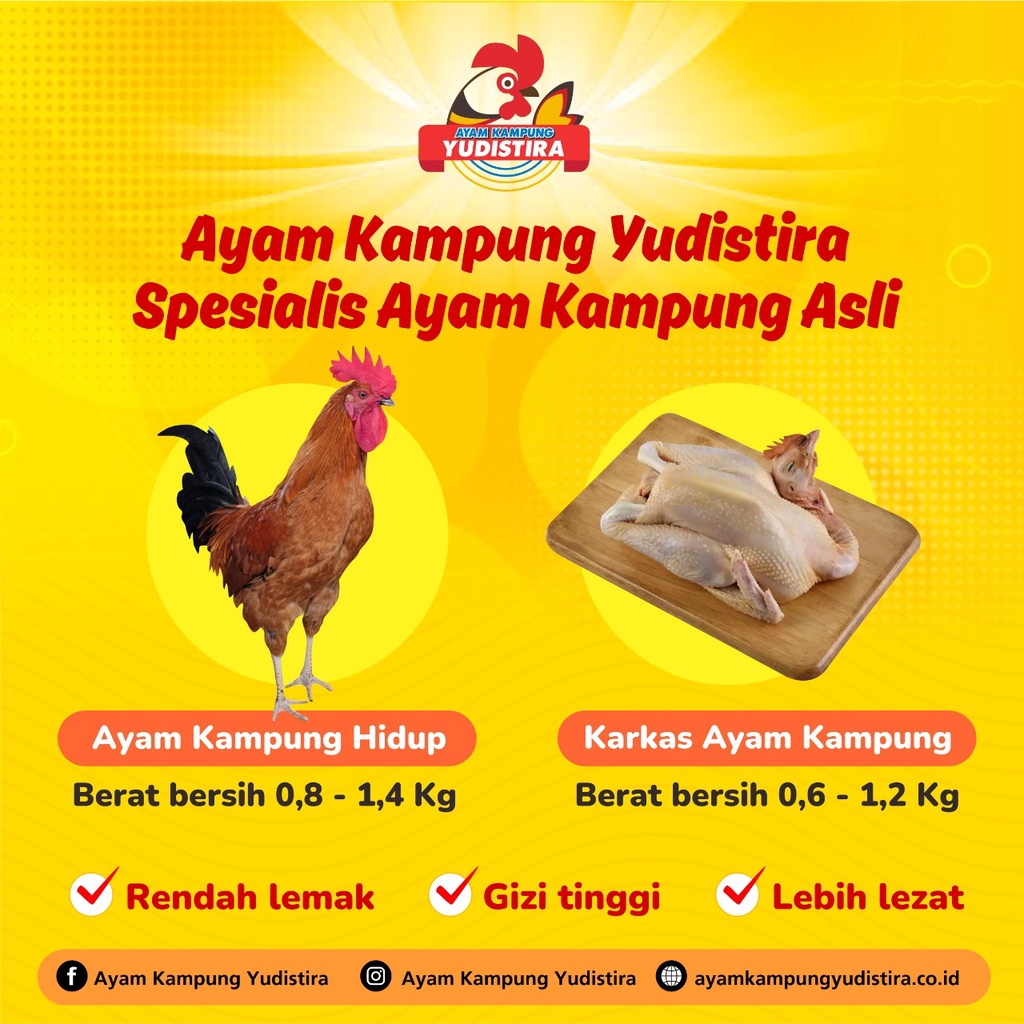 

DAGING AYAM KAMPUNG FRESH & FROZEN
