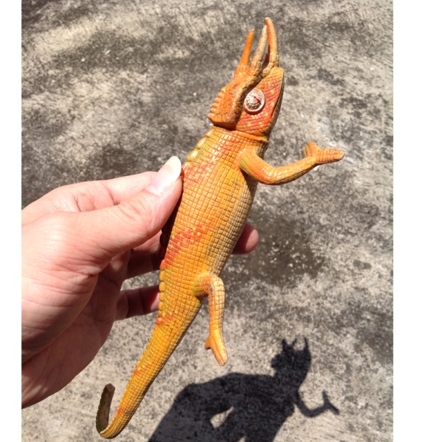 Mainan Binatang Bunglon Model Iguana Miniatur Binatang Animal