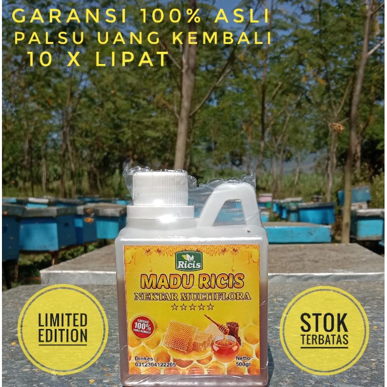 PROMO PAKET HEMAT Obat herbal anosmia Madu asli Multiflora dan jahe merah bubuk multi flora MADU MURNI MULTIFLORA MADU ASLI RAW HONEY netto 500gr