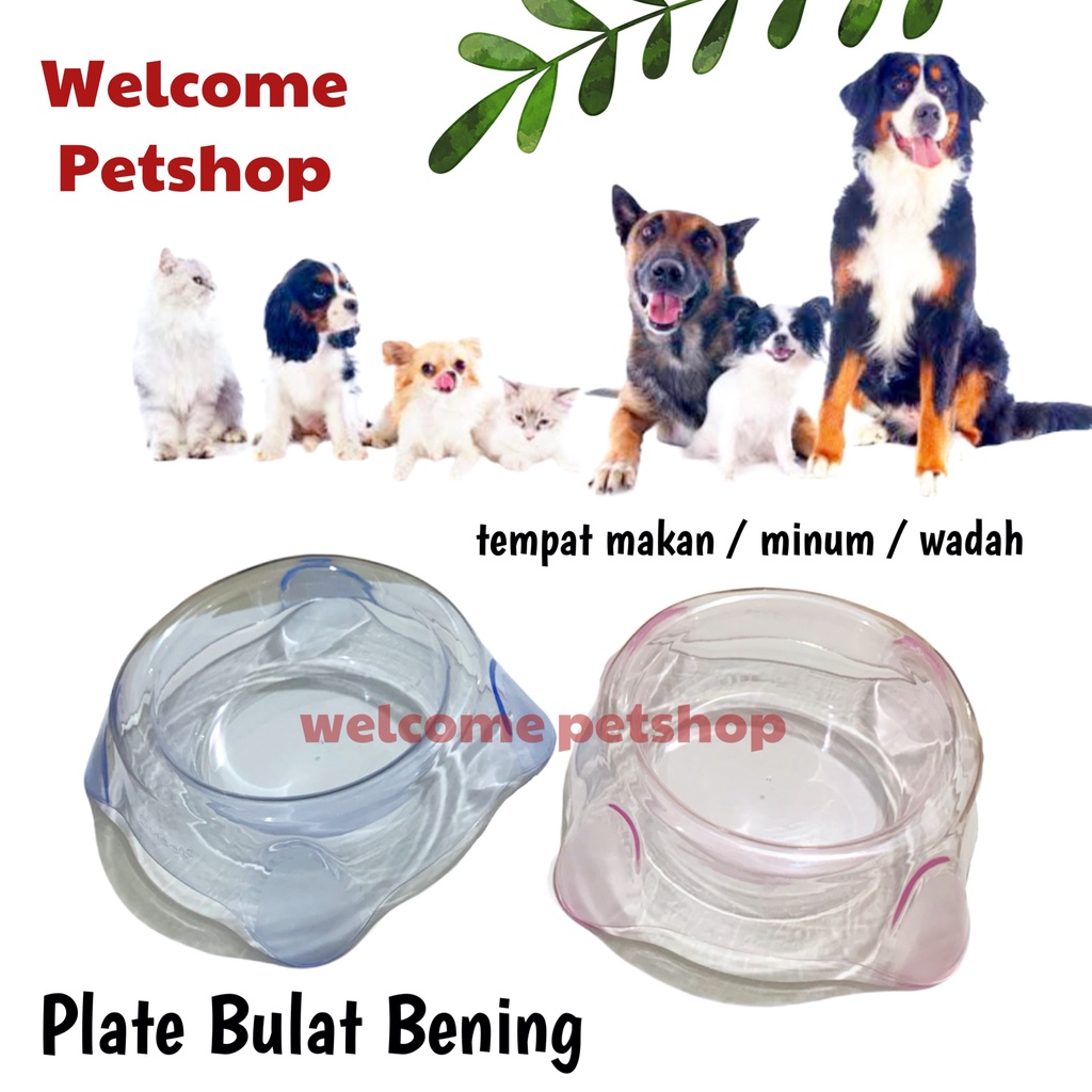 Plate Bulat Bening / Tempat Makan &amp; Minum Anjing Kucing Kelinci Marmut / Mangkok Makan Hewan