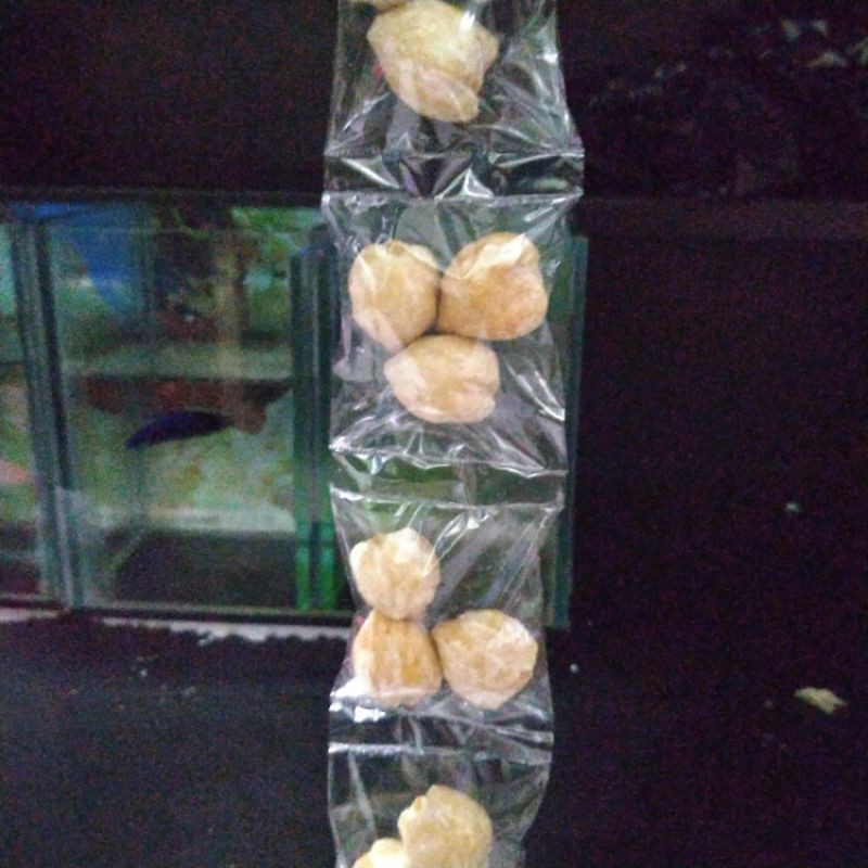 

Kemiri Bulat Rencengan/min order 10