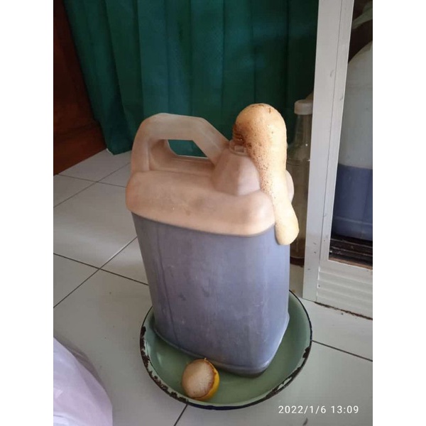 

MADU LEBAH HUTAN | MADU ALAMI | MADU HERBAL