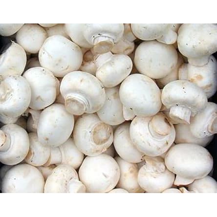 Grosir 100 gram Jamur Kancing Jamur Champignon Segar Murah