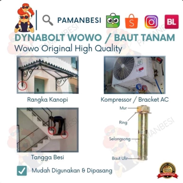 Dynabolt / Dinabolt Wowo 10 x 77 Baut Beton