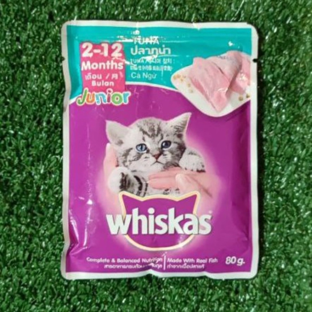 Jual Whiskas Junior Tuna Pouch 80gr 80 gr Makanan Anak Kucing Kitten Basah Shopee Indonesia