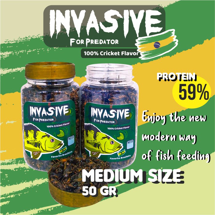 Pakan Makanan Ikan Predator Invasive Jangkrik Oscar Channa Datnoid Arapaima Peacock Bass IKANESIA