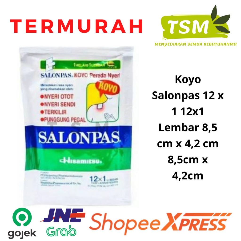 Salonpas Koyo Salonpas Hijau Original Besar Isi 12 Lembar