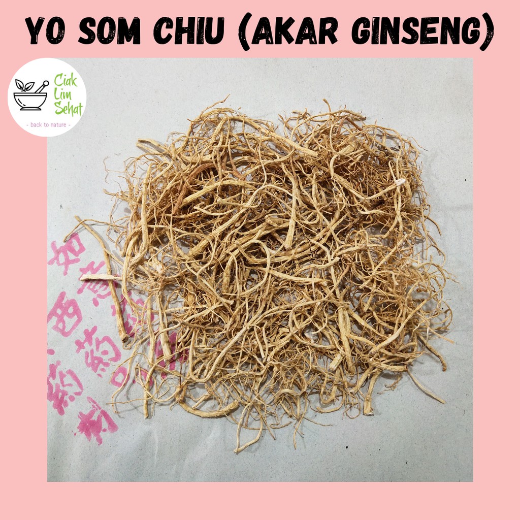 

Yo Som Chiu / Yang Shen Xu / Akar Ginseng / Ginseng Amerika (32 GR)