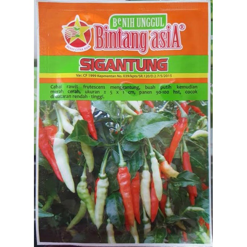 

cabe rawit sigantung || Bintang Asia || 10 gr