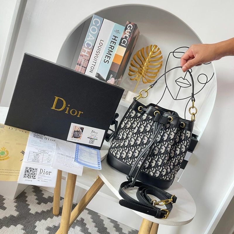 dr serut / dior bag
