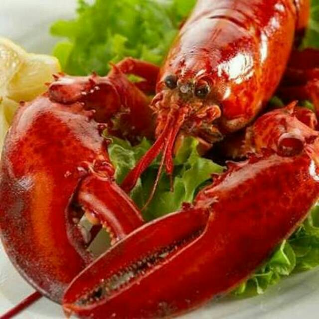 

Essence - Flavour Lobster Cair 50gr