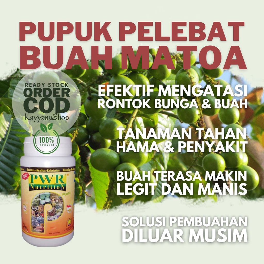 Pupuk Matoa Agar Cepat Berbuah / Pupuk Buah Matoa / Booster Matoa Pupuk Pelebat Buah / Pupuk Matoa A