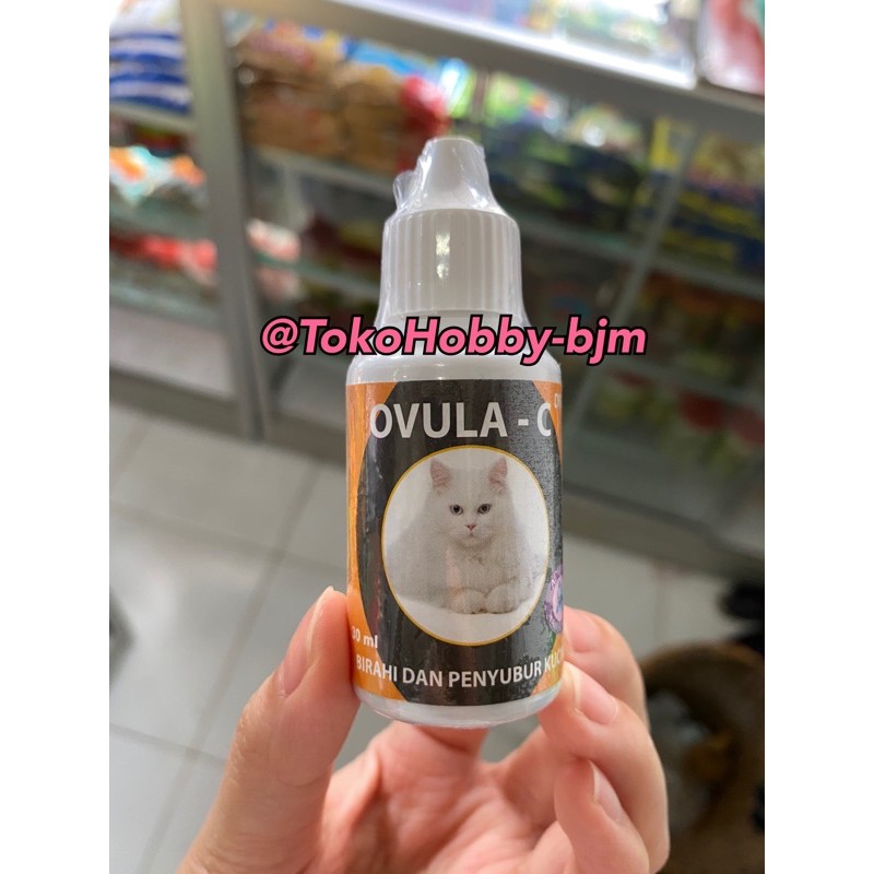 Ovula-c kucing birahi / Ovula c cat drop - obat birahi kucing / penyubur kucing birahi