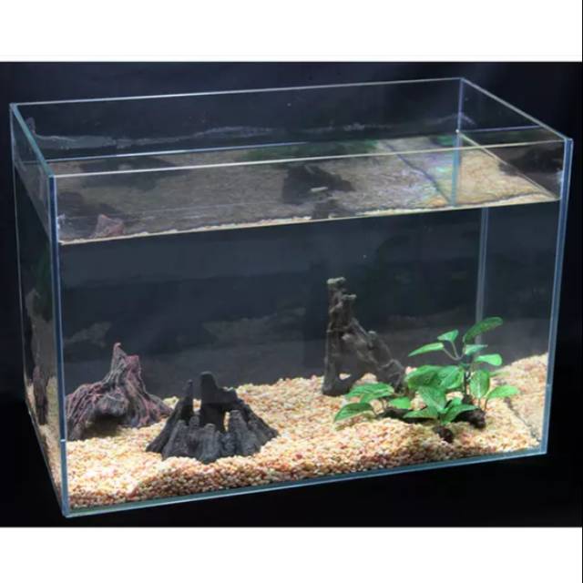 Harga aquarium 50x30x30