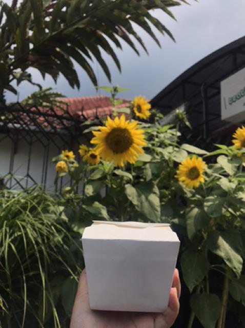 Paper Food Pail / Kotak Makan / Rice Box Ukuran M/l [dijual Per 1 Pcs]