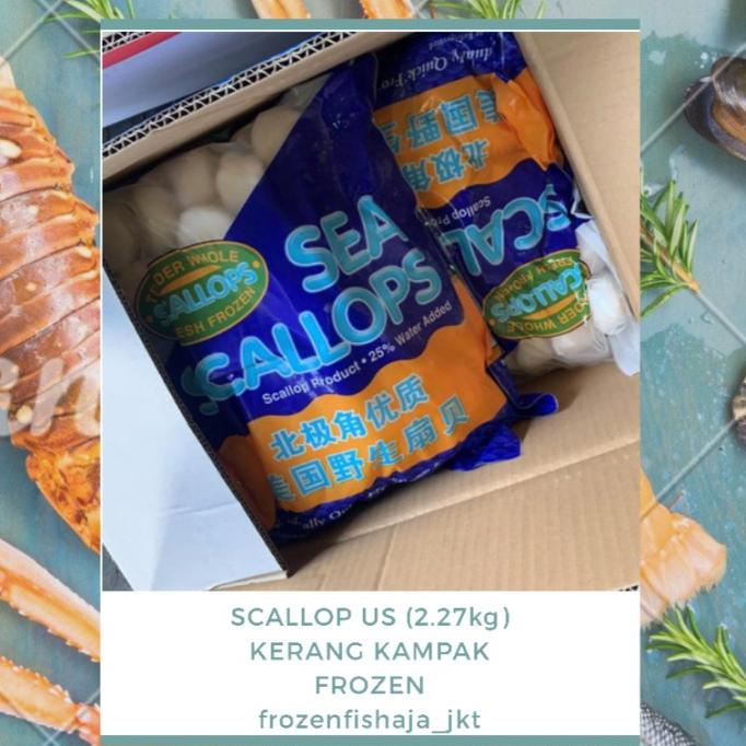 

scallop us / sea scallops import us / 2270 gram / frozen seafood ---NEW---