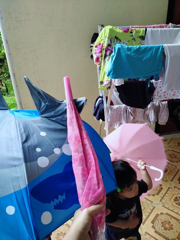 Payung Tongkat/ Payung Besar/ Payung Promosi/ Payung Transparant Polos