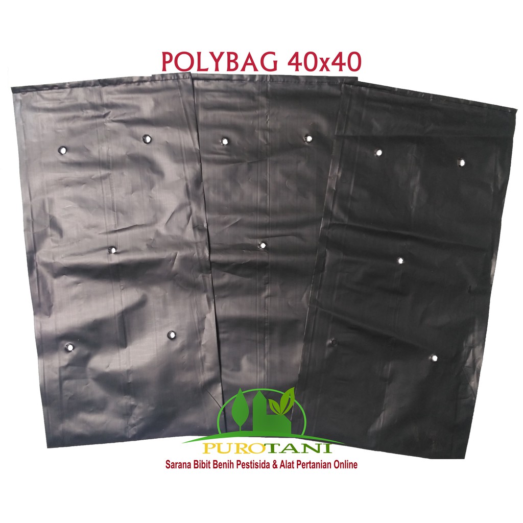 Polybag Ukuran 40x40 15 Lembar