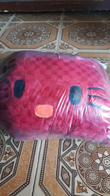 Bantal Karakter