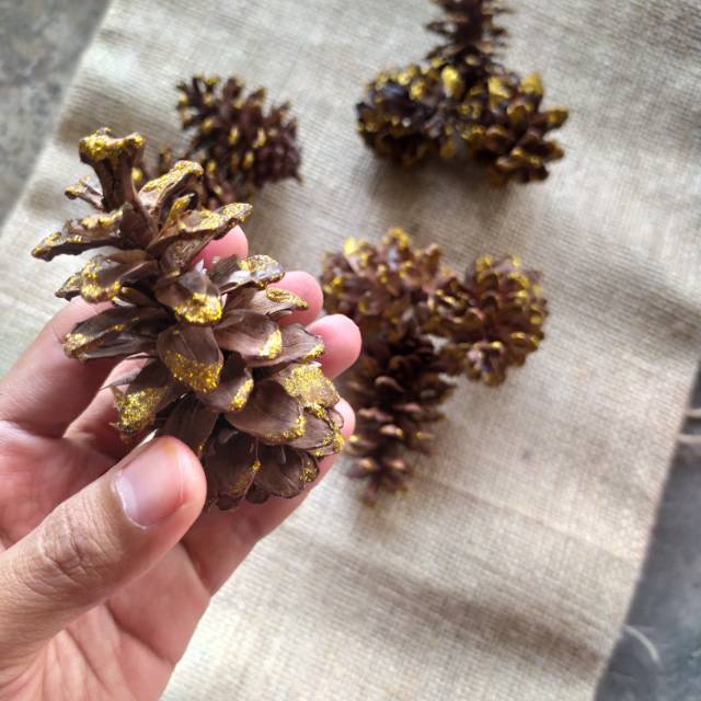  BP02 bunga pinus  gliter hiasan  dried flower pine biji 