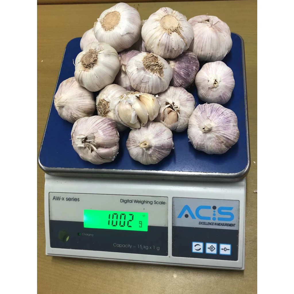 Bawang Putih Banci Honan 1 Kg Premium (tidak ada yang busuk)